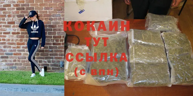 где купить   Духовщина  Кокаин FishScale 