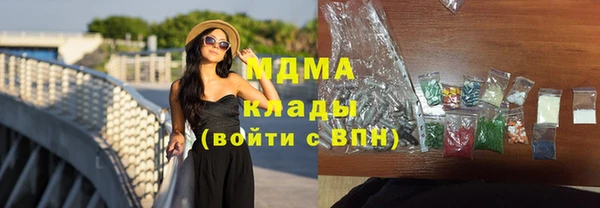 spice Гусев
