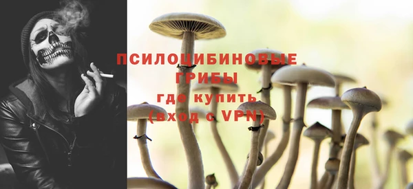 прущие грибы Медвежьегорск