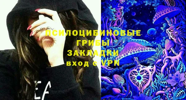 шишки Гусь-Хрустальный