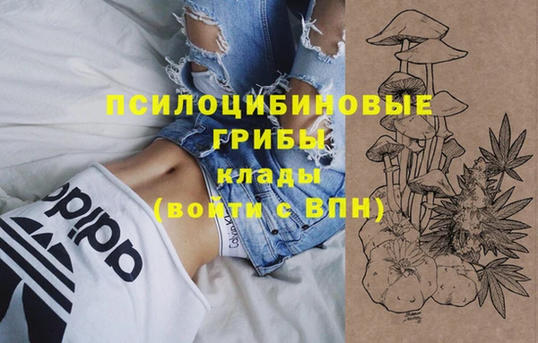 apvp Горно-Алтайск