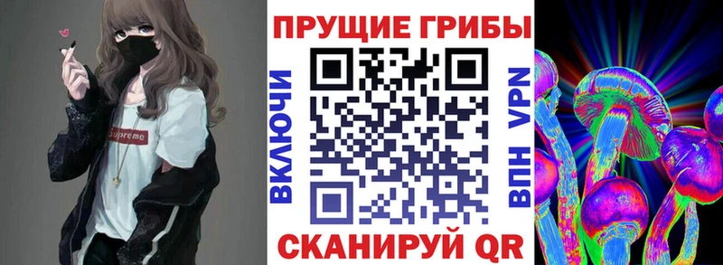 Галлюциногенные грибы GOLDEN TEACHER  Духовщина 