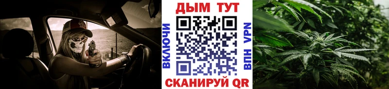 где купить наркоту  Духовщина  Конопля тримм 